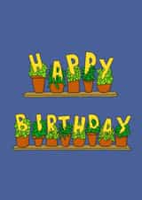 Birthday Pot Plants created by Tom Delves Illustration
