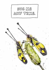 Bug Me Valentines Card created by JOKstudios