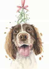 Springer Spaniel Christmas Card created by Robert James Hull