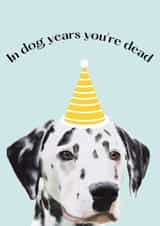 funny dog birthday card 1001 created by Shadan Designs