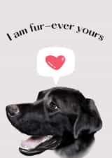 Fur-ever yours anniversary card created by Shadan Designs