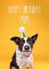 Happy Birthday Mum Dog Card created by The Yorkshire Pawtrait Co.