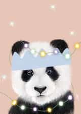 Panda In Fairy Lights created by Alfreda & Alice