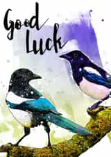 'Two for Joy' Good Luck Magpies card created by KittyWicks Illustration