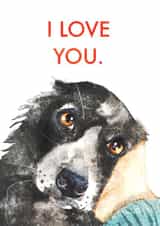 Cute Border Collie Anniversary Card / Valentines Day Card - I Love You created by Jo Scott Art