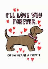 Dachshund valentine's day card created by Kate Wand