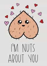 Nuts About You! Rude Funny Valentines Day Card created by Cheeky Chappy