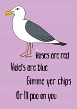 Seagull valentines created by Flinks Designs