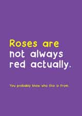 Roses are red Valentines Card created by Norm & Then