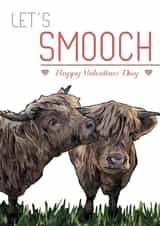 highland cow valentines day card created by Designs by Elena