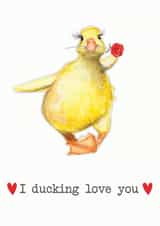 Funny duck valentines card created by Paint & Ralph