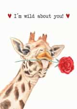 Wild about you giraffe valentines card created by Paint & Ralph