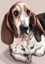 Bassett Hound created by Higgledy Pets