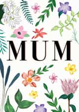 Pretty Birthday/Mother's Day Card - Flowers - For Her created by Holly Greenwood