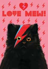 Valentines Cat Loves Mew in Pink created by @ChildstarSamantha