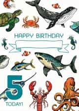 Personalised Birthday Sealife Card 5th Birthday created by Life's Little Doodles