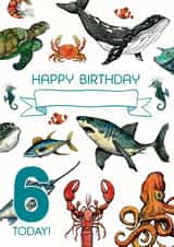 Personalised Happy 6th Birthday Sealife Card created by Life's Little Doodles