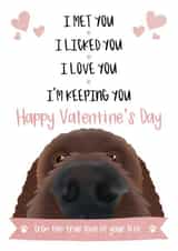 Valentine's Card from the Dog created by The Merry Giraffe