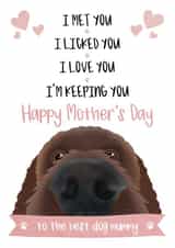 Cute Mothers Day Card - From The Dog - To The Best Dog Mummy created by The Merry Giraffe