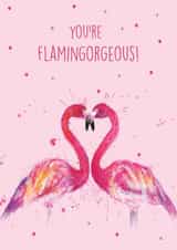 You're Flamingorgeous Valentines Card created by Splatterworks