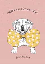 Happy Valentine's Day from the Dog created by Dotty Dog Art