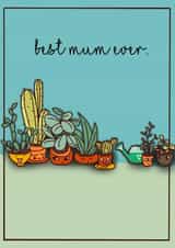 Best plant mum ever created by Pippins post cards 
