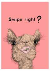 Swipe Right Valentines Card created by The Ricketty Desk