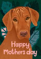 Cute Mothers Day Card - Dog - Vizsla - Happy Mother's Day created by Hollie McManus Illustration