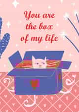 Cat in the love box created by Alyona Shirokova