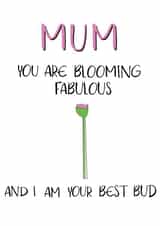 Blooming fabulous mum card created by Emily Hunter