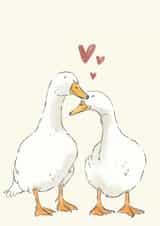Duck Valentines Day Card created by Becca Hall illustration