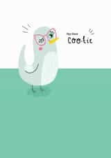 Funny pigeon any occasion card created by Bronte Laura Illustration
