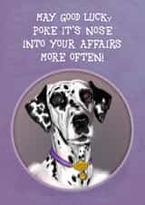 Lucky created by Atmosferna