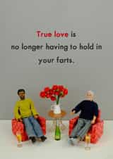 True love farts created by Bold & Bright Cards