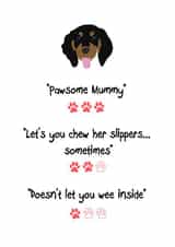 Dog Mum Mother's Day Review created by Miss Tash