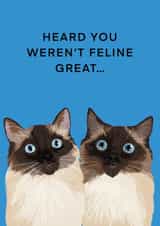 Heard you weren’t feline great created by Millie Rae Studio
