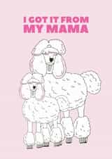 Funny Mothers Day Card - Poodles - Dog - I Got It From My Mama created by Pearl Ivy