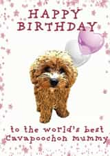 Cavapoochon Dog Mummy Birthday Card created by Arden And Beech
