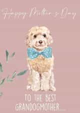 Cute Mothers Day Card - Dog Grandmother - Cockapoo / Labradoodle - To The Best Grandogmother created by 25Seven