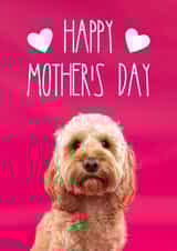 Cute Mothers Day Card - From The Dog - Cockapoo - Happy Mother's Day created by The Yorkshire Pawtrait Co.
