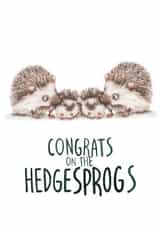 Twin Hedgesprogs Card created by Citrus Bunn