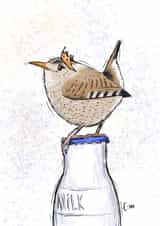 Little princess created by Esther Maughan