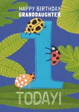 Ladybird Granddaughter 1st Birthday Card created by Made by Burbs