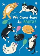 We Came Here to Party! Cat Birthday/ Celebration Card created by Nat Ellis Illustration
