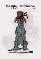 Posh dog birthday card created by Fat Nancy Cards