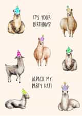 Cute Birthday Card - Funny Pun - It's Your Birthday? Alpaca My Party Hat created by Poppy & Mabel 