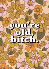 Another year older, another year ruder. created by @sophie robbens