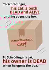 Schrodinger's Cat created by Sarcastic Notebooks