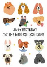 Congratulations on your new puppy created by Lucy Rose Party