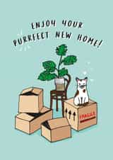 Cute Cat Pun New Home Card - Cat - Cheese Plant - Enjoy Your Purrfect New Home! created by Lucy Marie Design